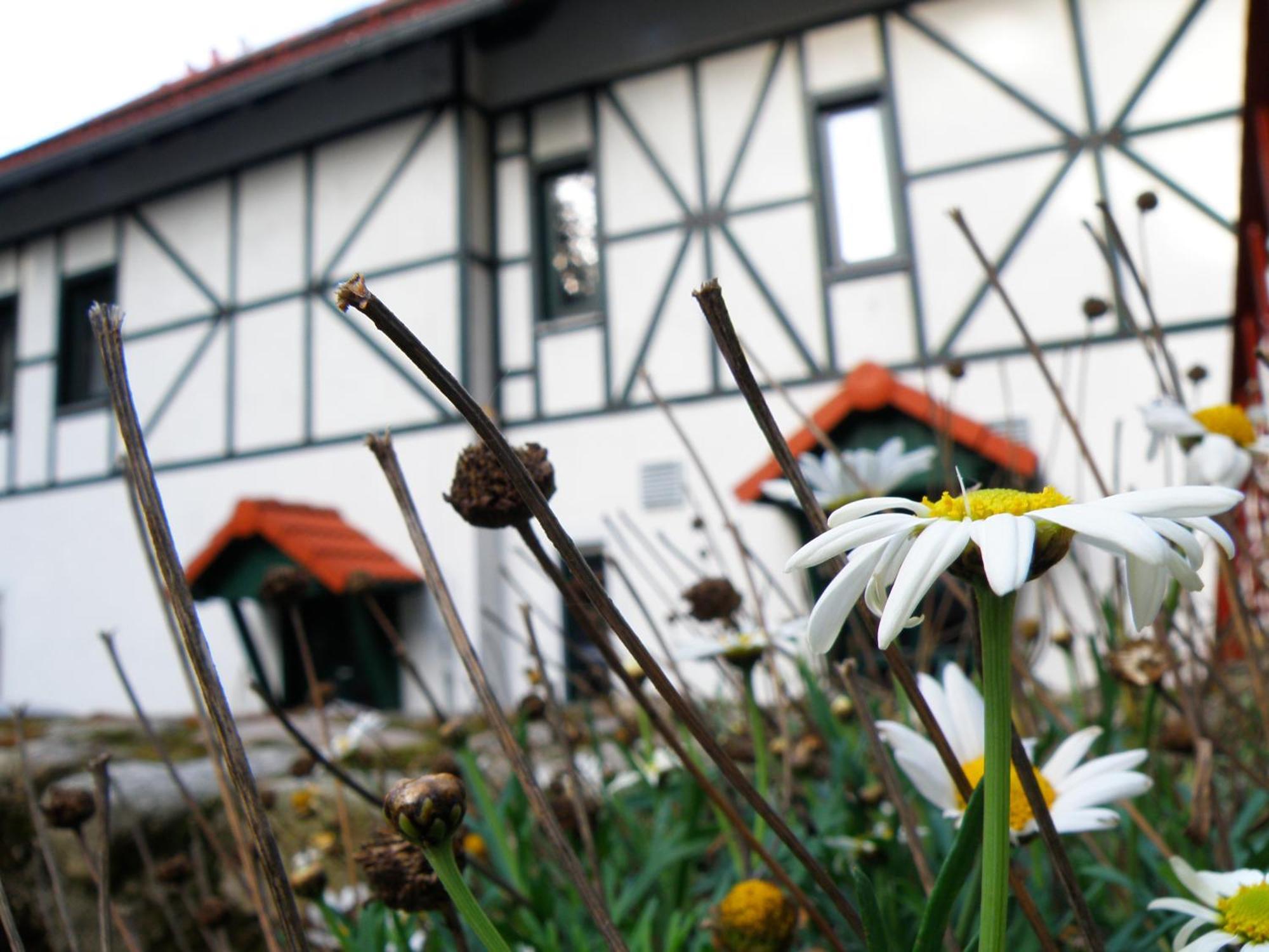 Bed & Breakfast Dom Potok *